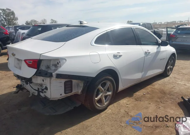 1G1ZB5ST0JF176172: 44304216