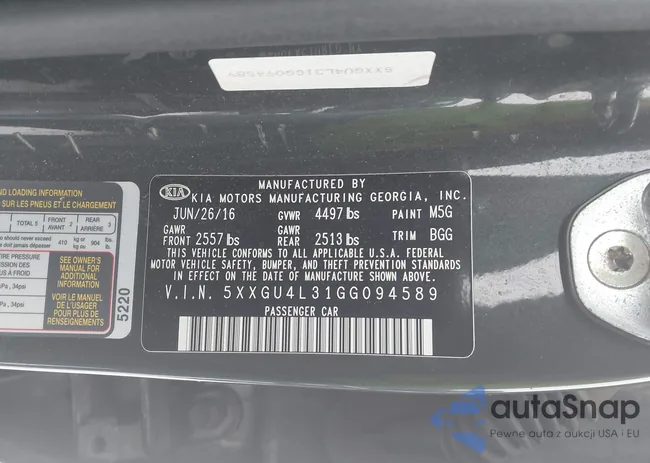 5XXGU4L31GG094589: 44304381