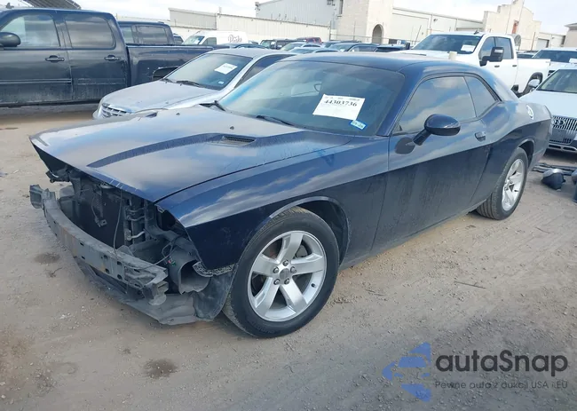 2B3CJ4DG0BH565969: 44303736