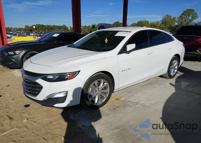 1G1ZD5ST4KF163856: 44303805