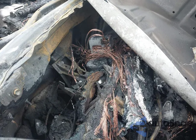 2T3DFREV7FW341022: 44303816