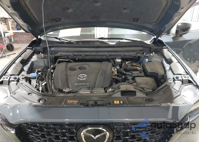 JM3KFBCM2P0279132: 44303821