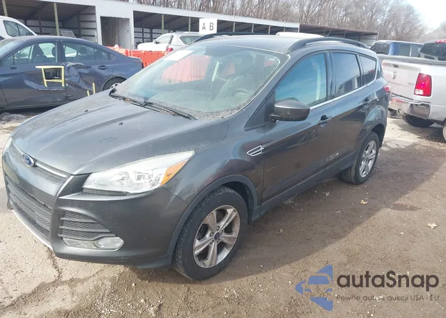 1FMCU9G90FUA49965: 44303907