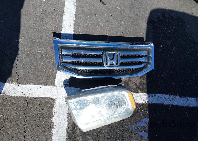 5FNYF3H66DB020367: 44303913