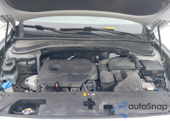 5NMS3CAD7LH236555: 44303920