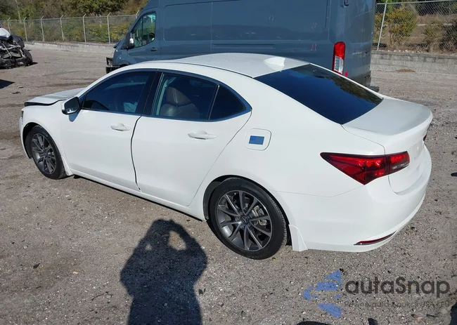 19UUB2F50HA003532: 44305277