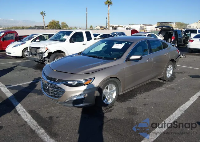 1G1ZD5ST9RF238805: 44305381