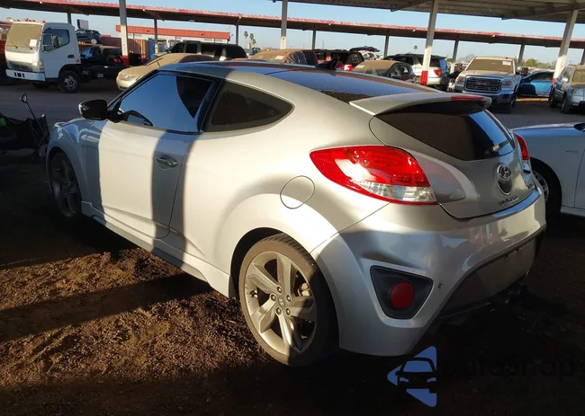 KMHTC6AE0FU243161: 44306395