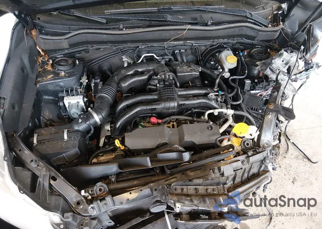 JF2SJABC6GH554238: 44306504