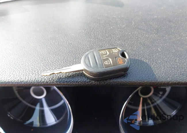 1ZVBP8AM4D5212538: 44306589