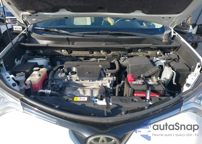 JTMWFREV8HJ116148: 44305635