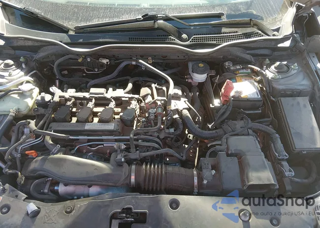 SHHFK7H71HU205241: 44305801