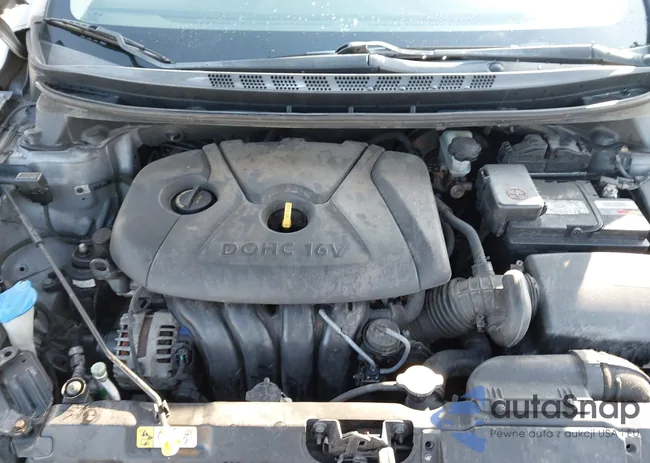 KMHDH4AEXFU381753: 44307533