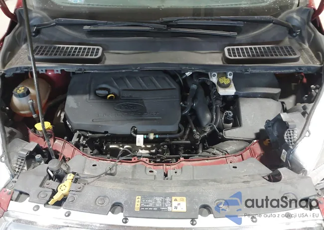 1FMCU9GD7JUD12725: 44306691