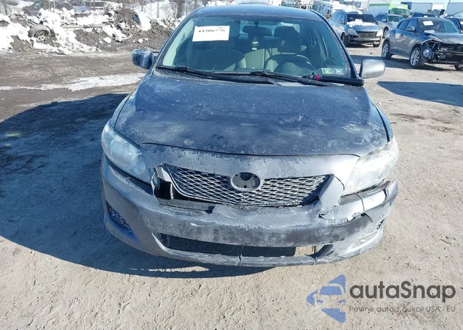 2T1BU4EEXAC535143: 44306776