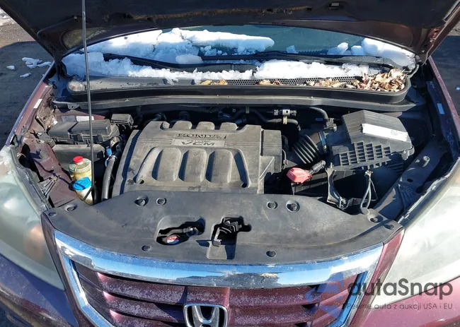 5FNRL38758B055123: 44306785