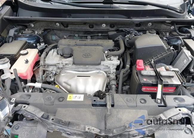 JTMRFREV0HJ107084: 44308032