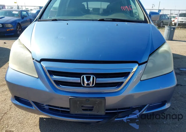 5FNRL38677B056019: 44308034