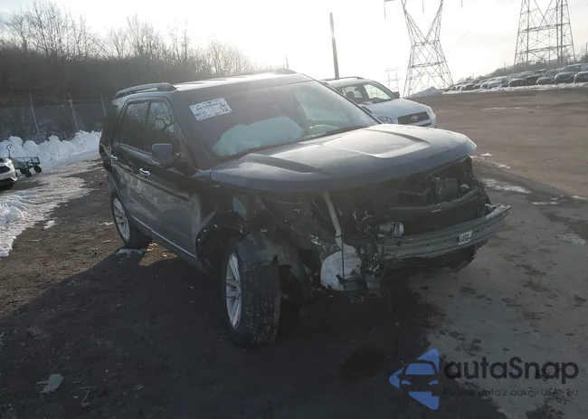 1FM5K8D84EGB87963: 44308061