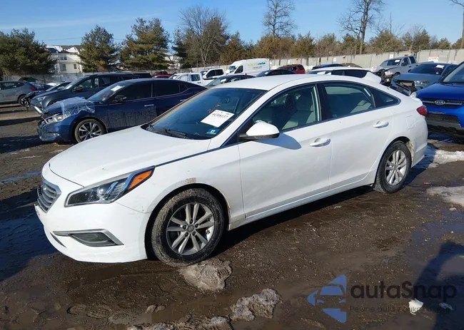 5NPE24AF7GH367629: 44308137