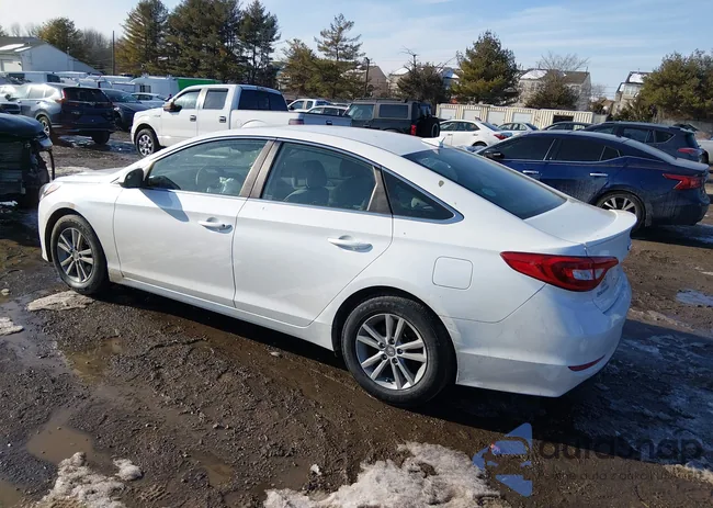 5NPE24AF7GH367629: 44308137