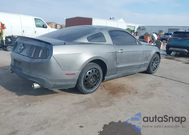 1ZVBP8AN7A5114737: 44308192