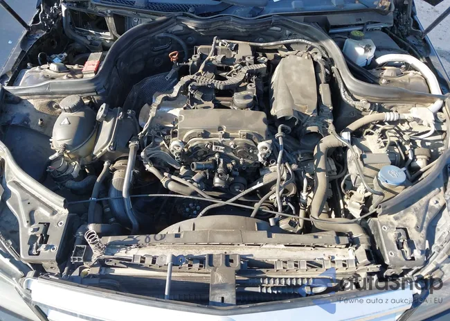 WDDGF4HB9DA763926: 44308421