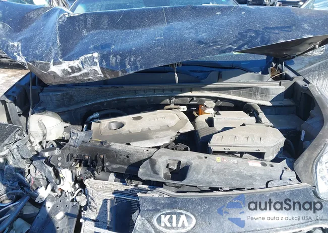 KNDPMCAC0K7594094: 44308535