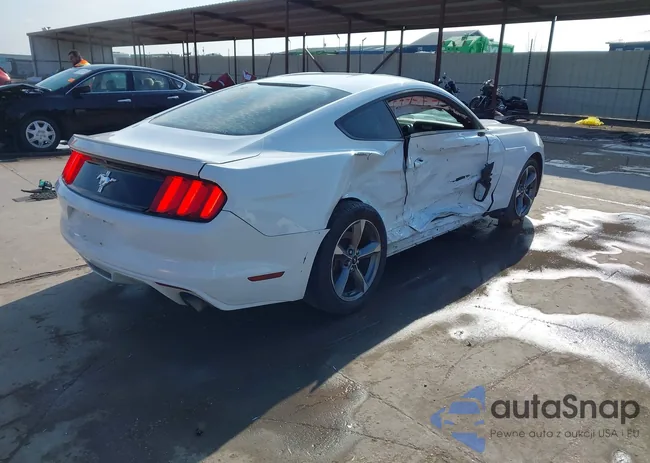 1FA6P8AM4G5215602: 44309255