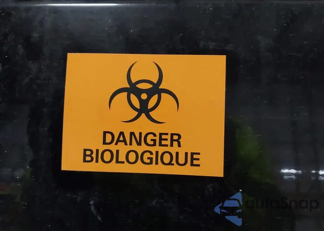 1GTR2WE33BZ199695: 44309339