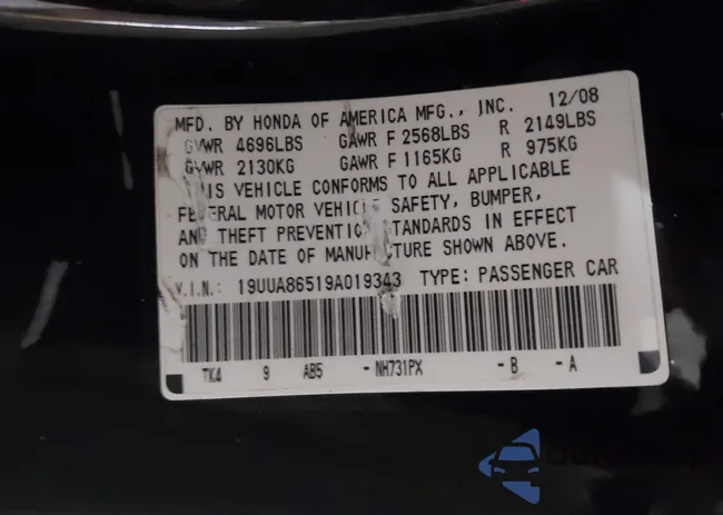 19UUA86519A019343: 44309538