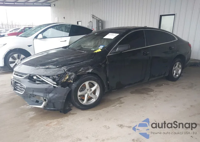 1G1ZB5ST0GF234838: 44308625