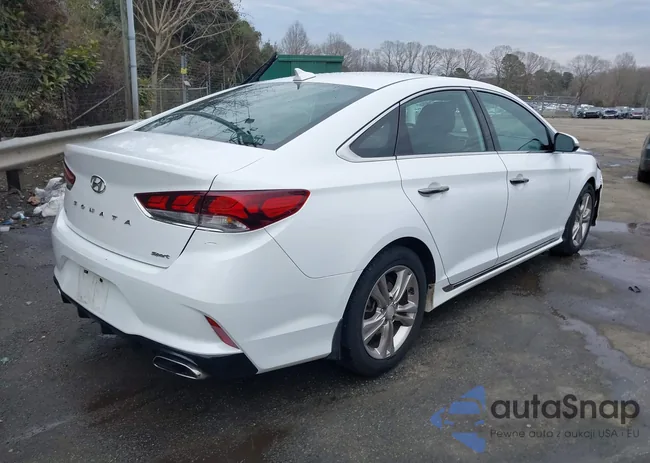 5NPE34AF9KH766533: 44309733