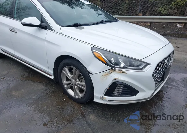 5NPE34AF9KH766533: 44309733