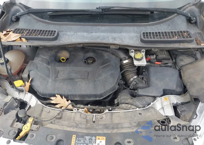 1FMCU9J93HUC29078: 44309764