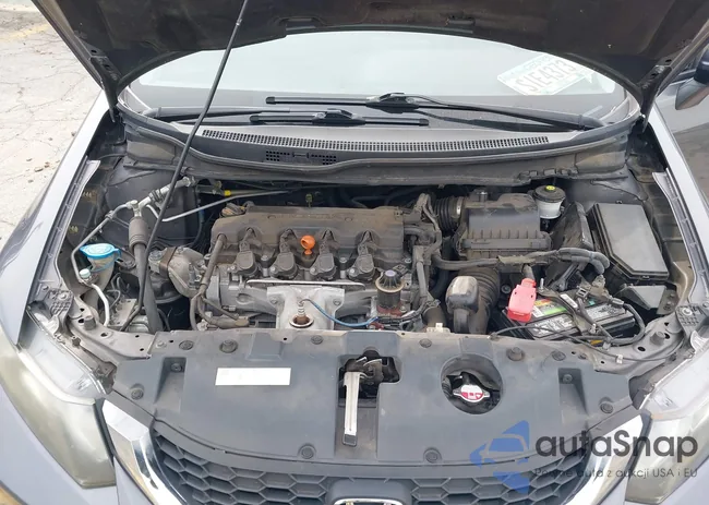 19XFB2F53EE029462: 44309897