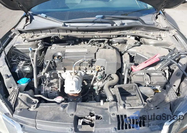 1HGCR2F52DA226351: 44311096