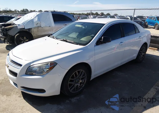 1G1ZB5E09CF150917: 44311186