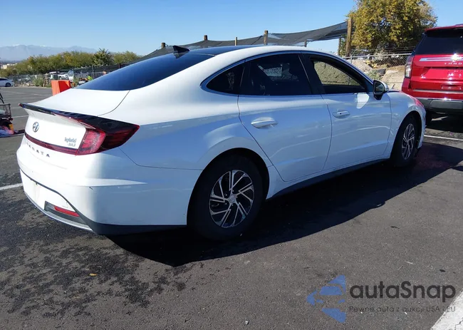 KMHL24JJ8MA036133: 44311242