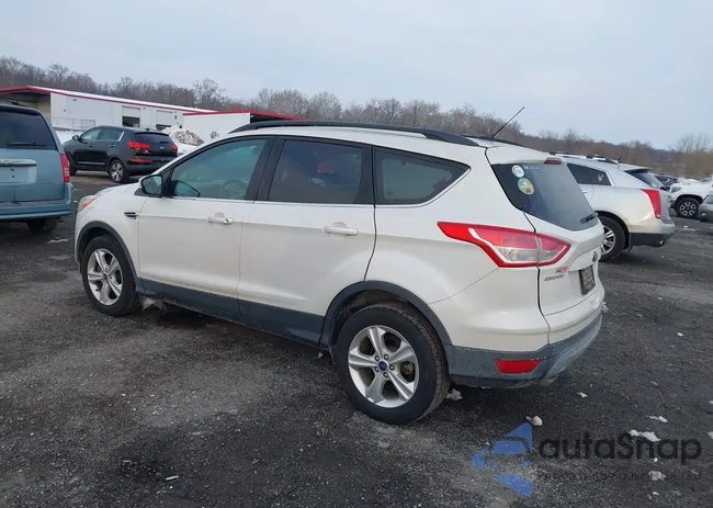 1FMCU9GX6EUB75602: 44310623