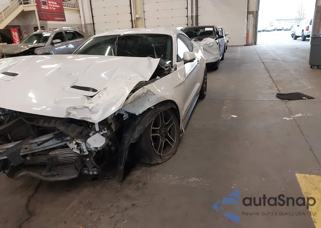 1FA6P8TH2L5132194: 44310894