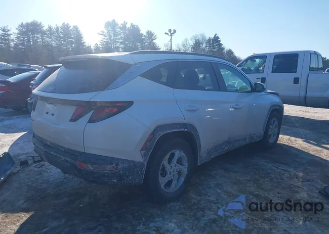 5NMJB3DE0RH398622: 44311002