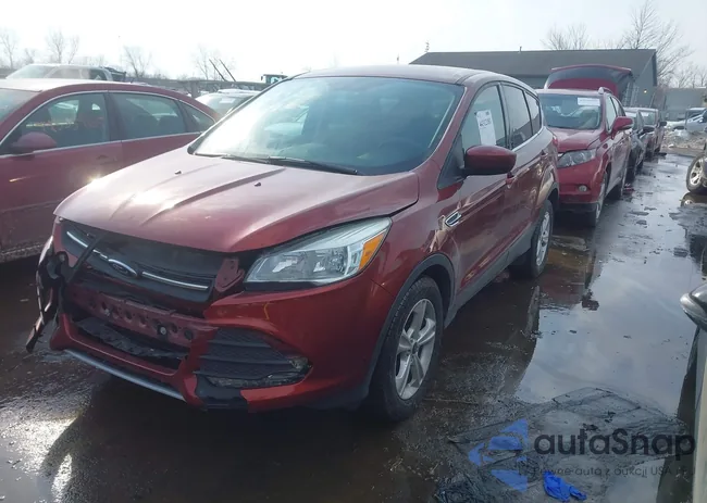 1FMCU0G78GUB21104: 44312181