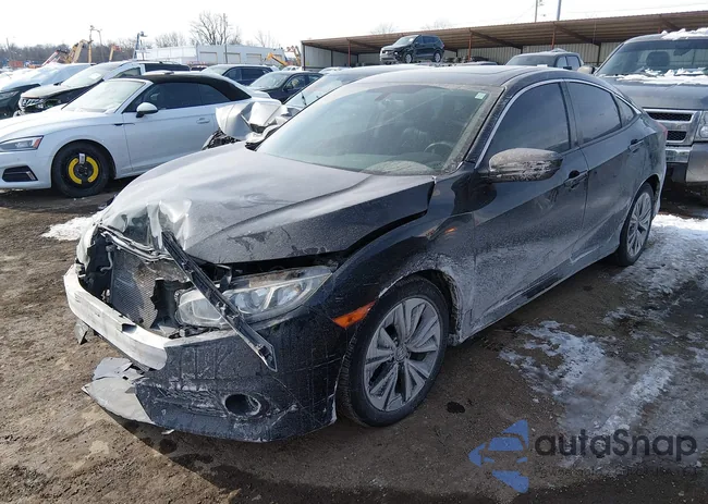 19XFC1F7XGE003064: 44312301