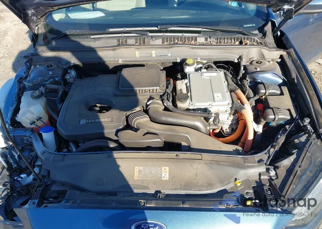 3FA6P0LU8JR228842: 44312399