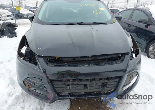 1FMCU9G90GUC23129: 44312401