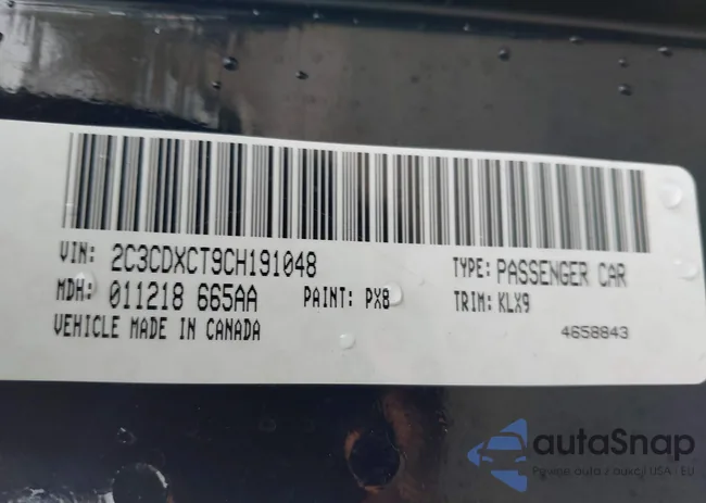 2C3CDXCT9CH191048: 44311638
