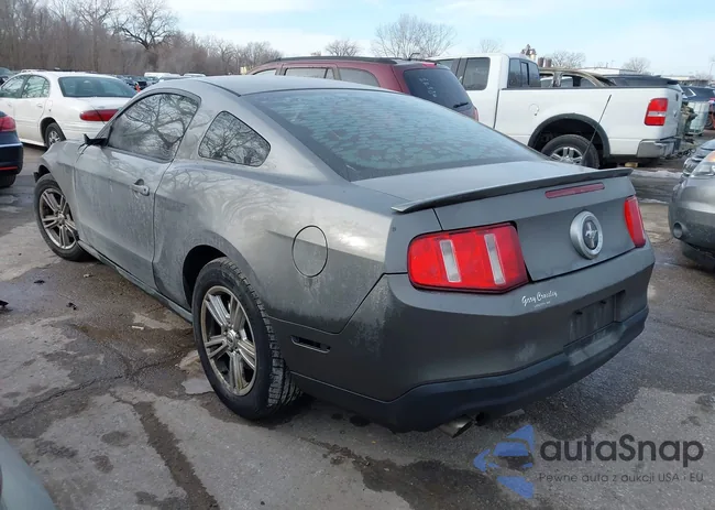 1ZVBP8AM8B5158903: 44311753