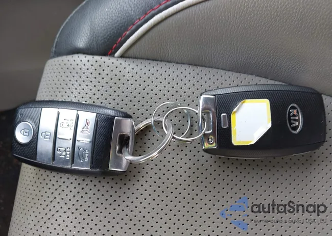 KNDMC5C10J6352309: 44313021