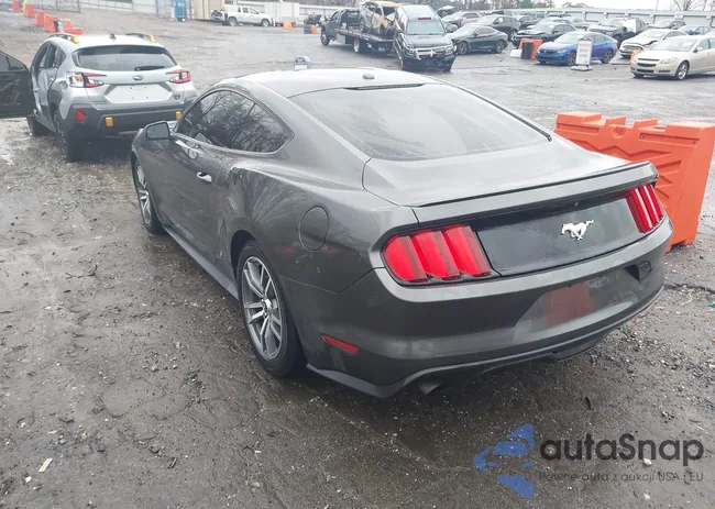 1FA6P8TH2F5385536: 44312620